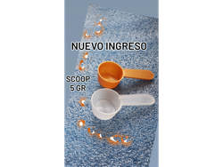 SCOOP 5 GR