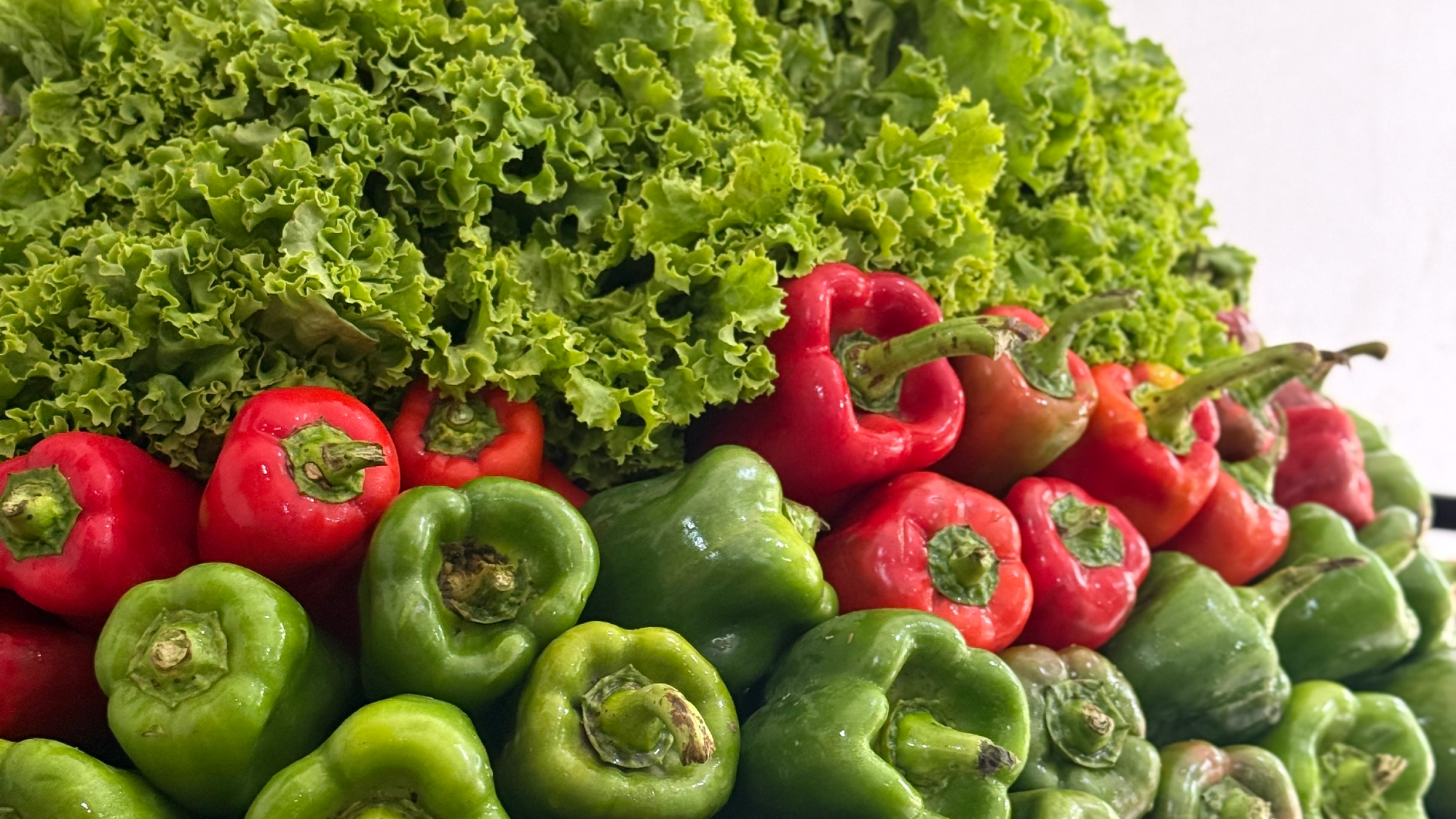 Verduras