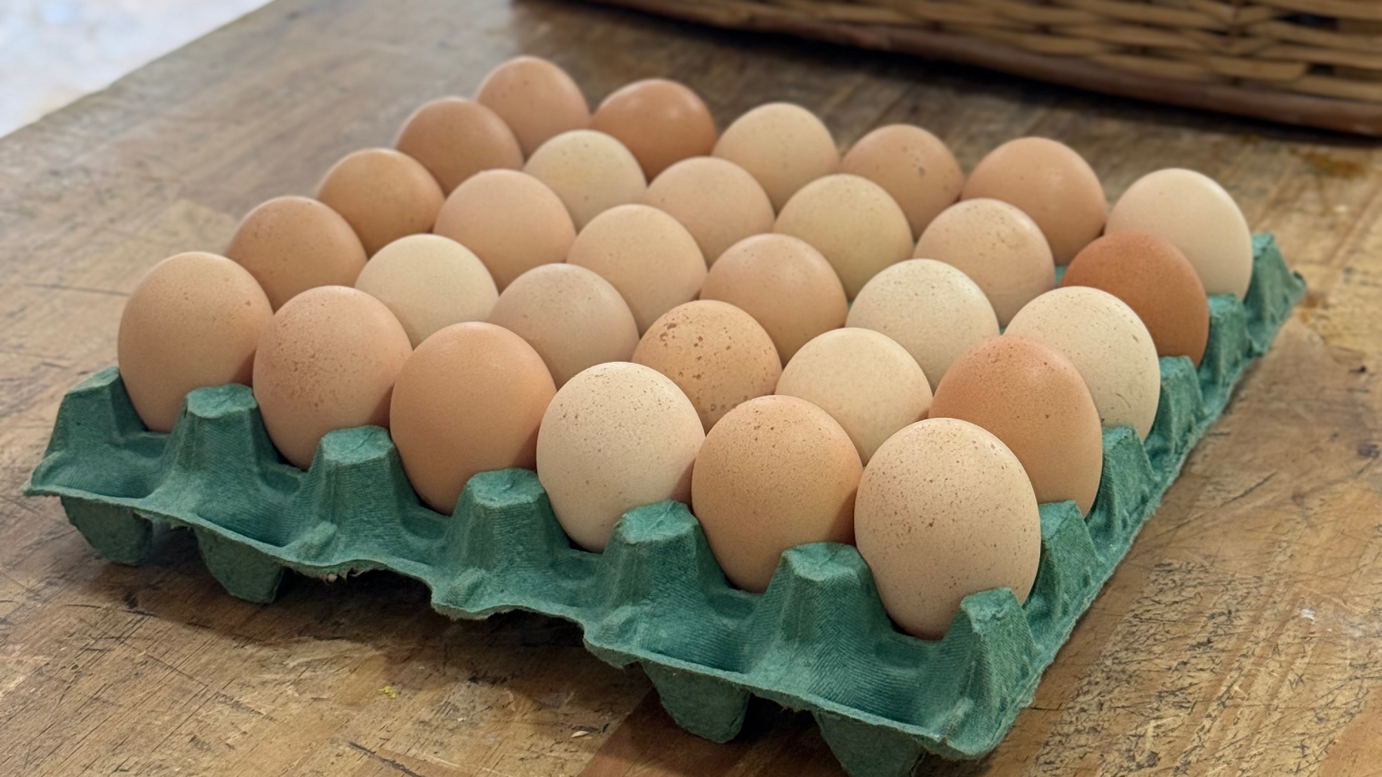 Huevos