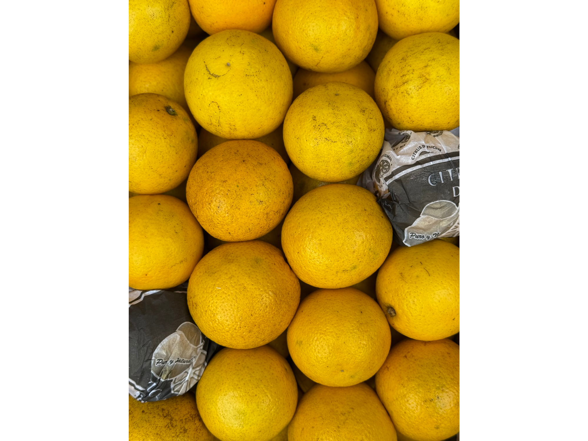 Naranja TANJERINA (Dulce)