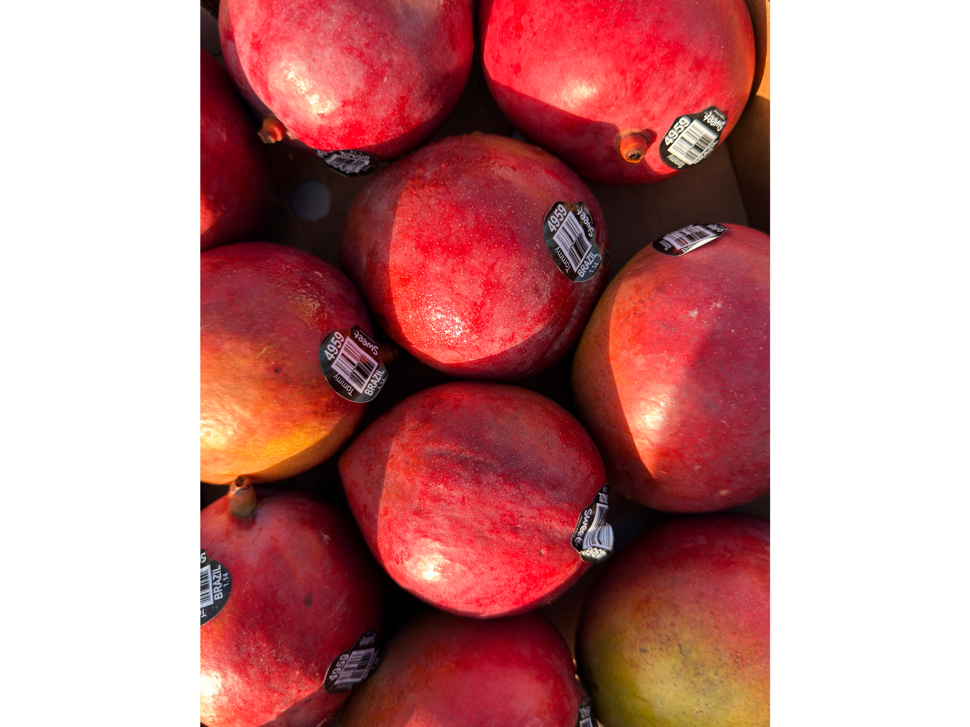 MANGO (BRASIL)