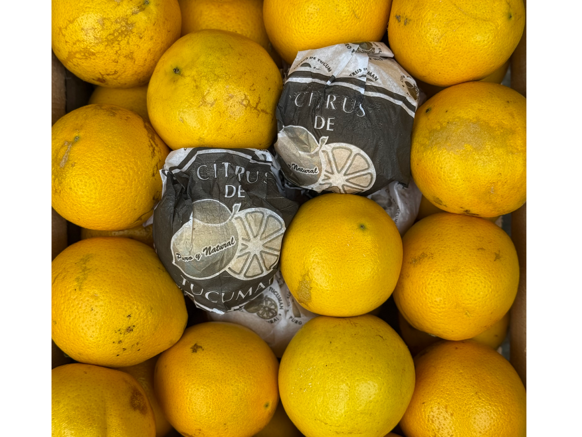 Naranja OMBLIGO