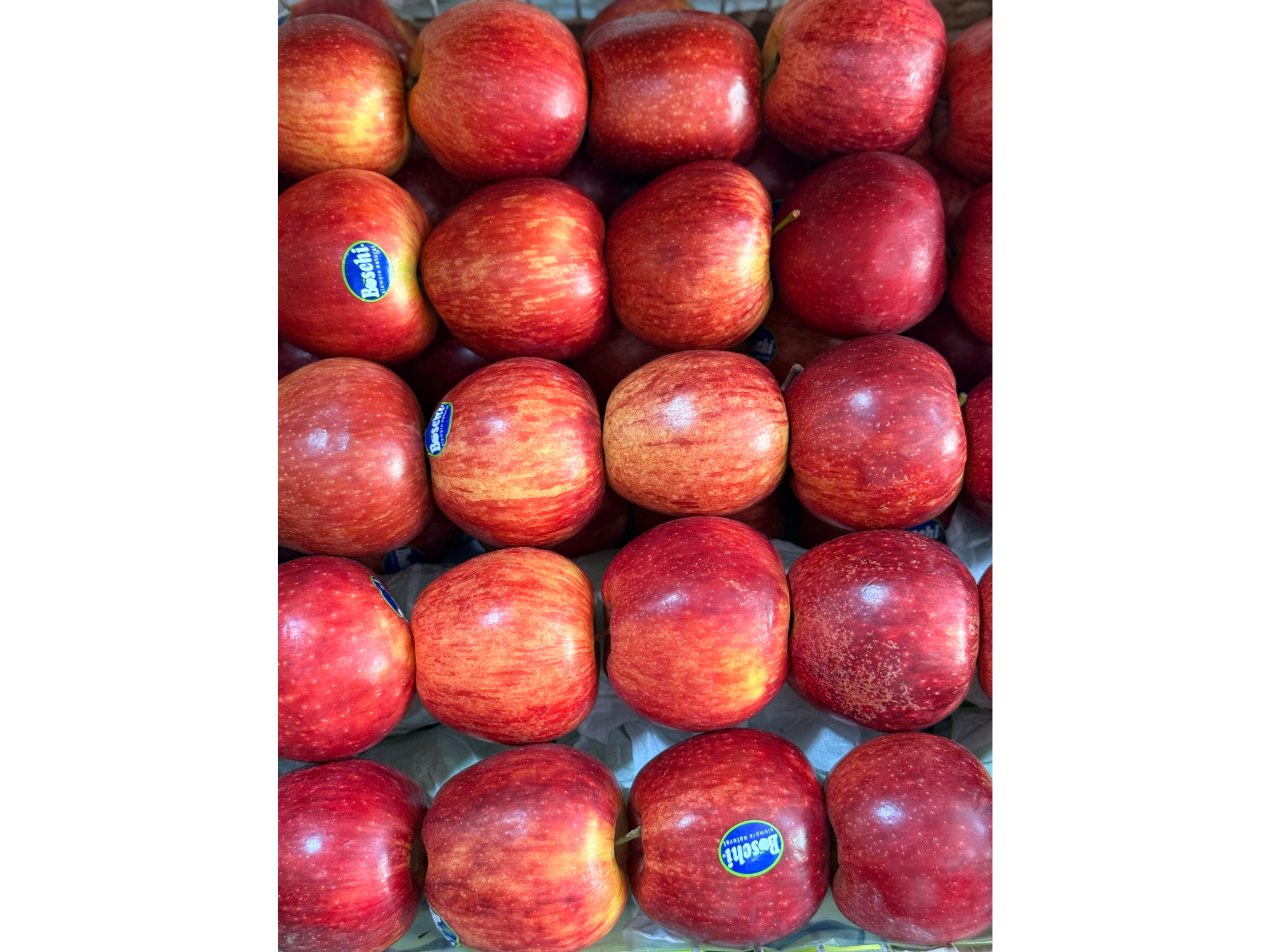 Manzana Roja (Argentina)