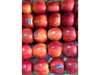 Manzana Roja (Argentina)