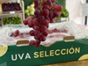 Uva Rosada (SELECCIÓN)