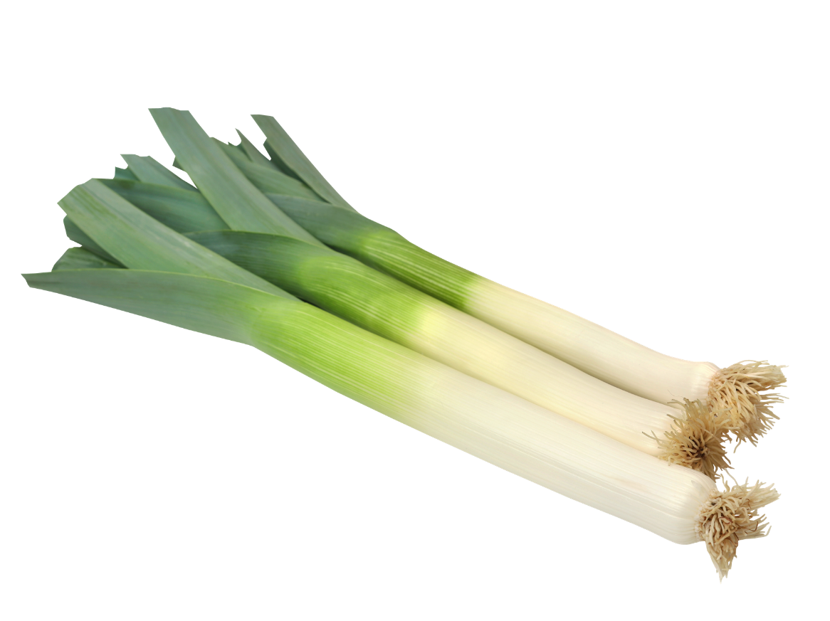 Ajo Puerro