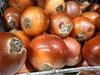 Cebolla