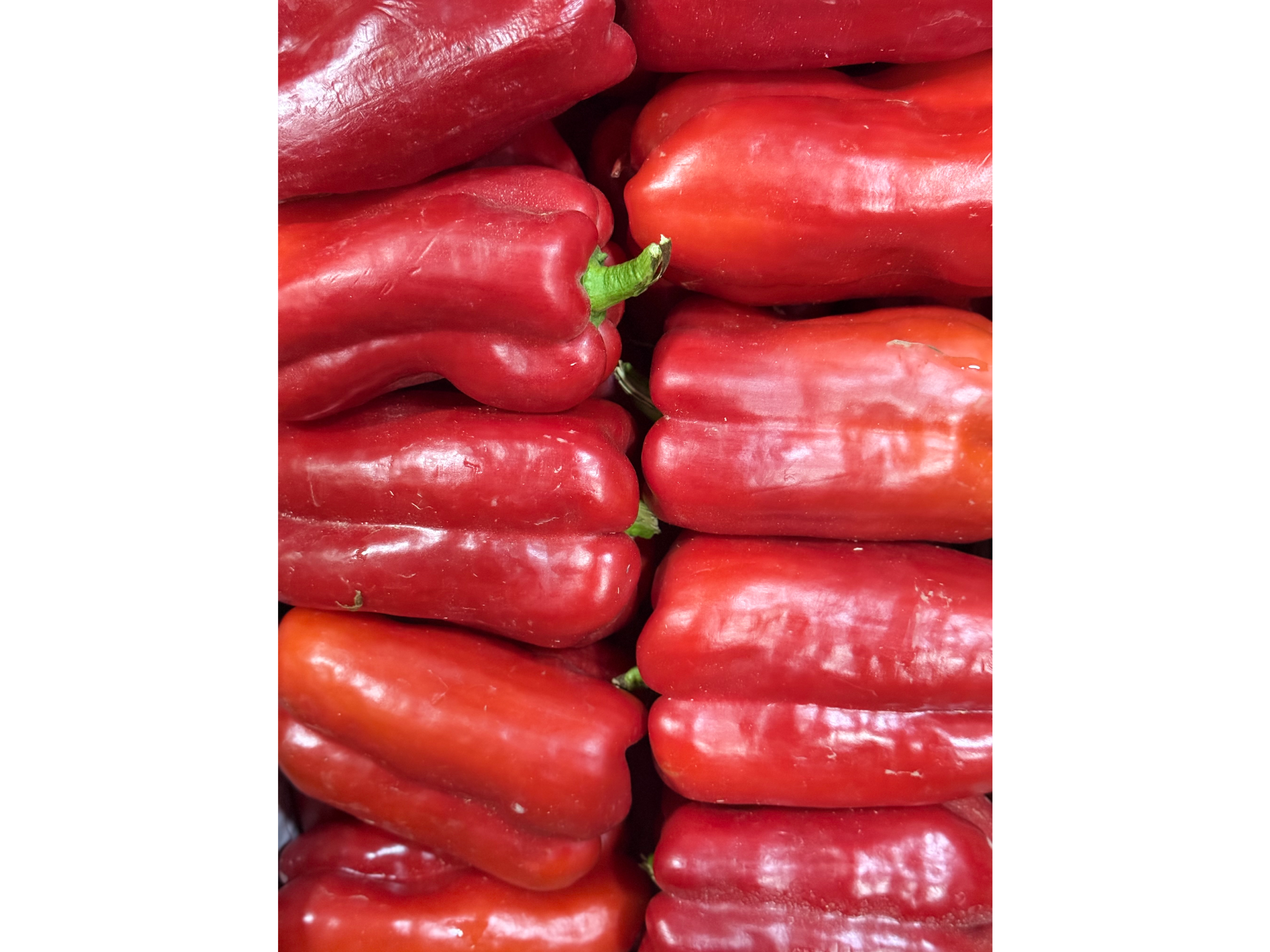 Pimiento Rojo