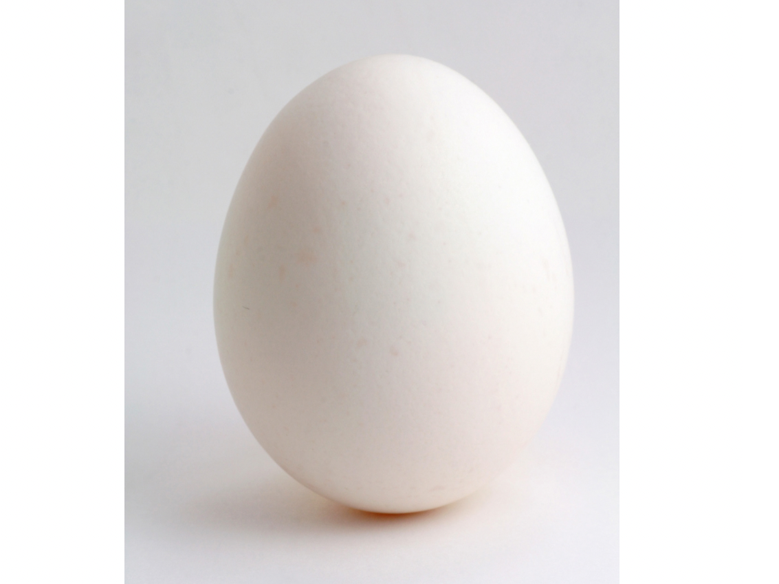Huevo Blanco (Suelto)