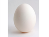 Huevo Blanco (Suelto)