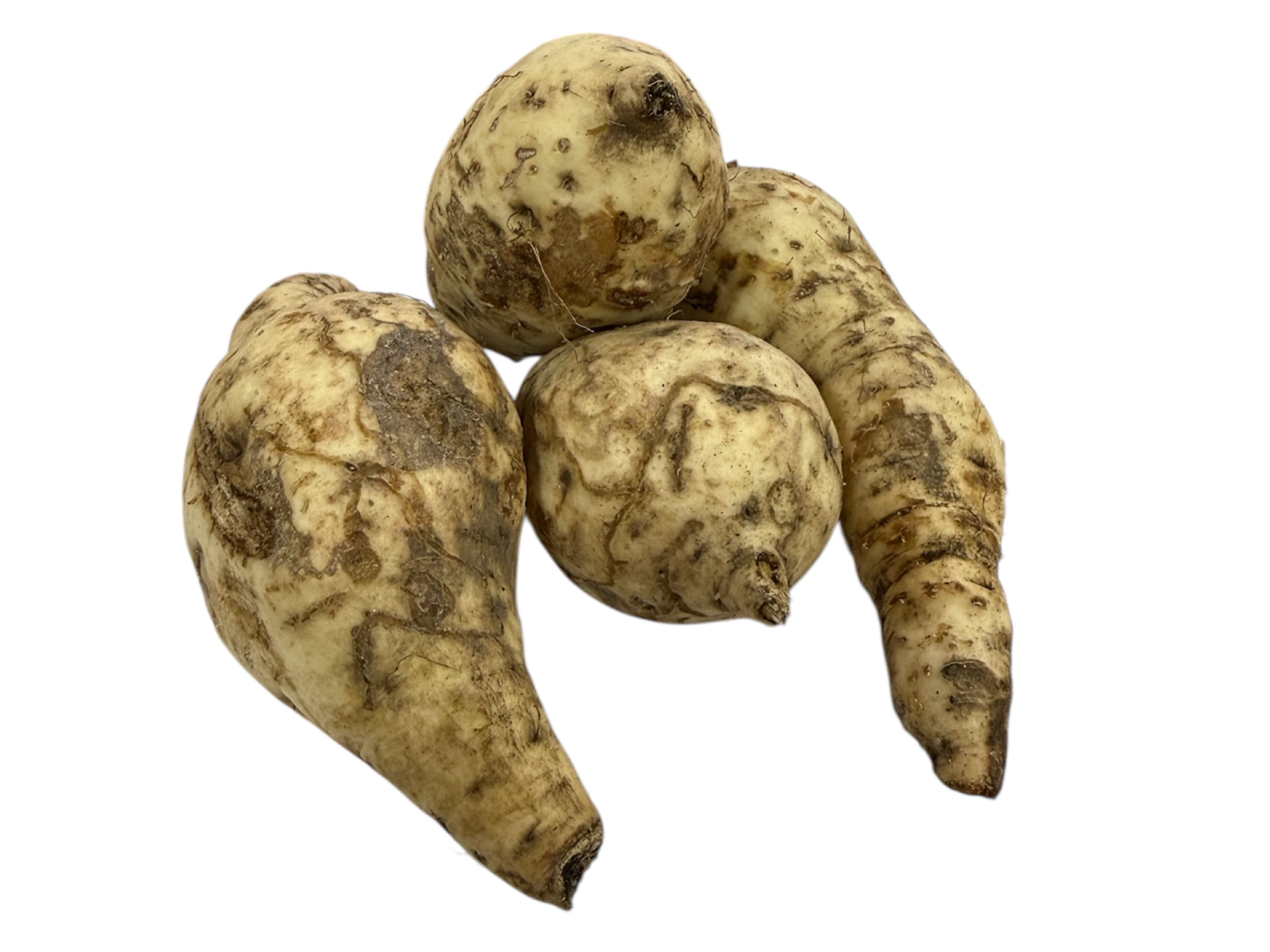 Batata Blanca