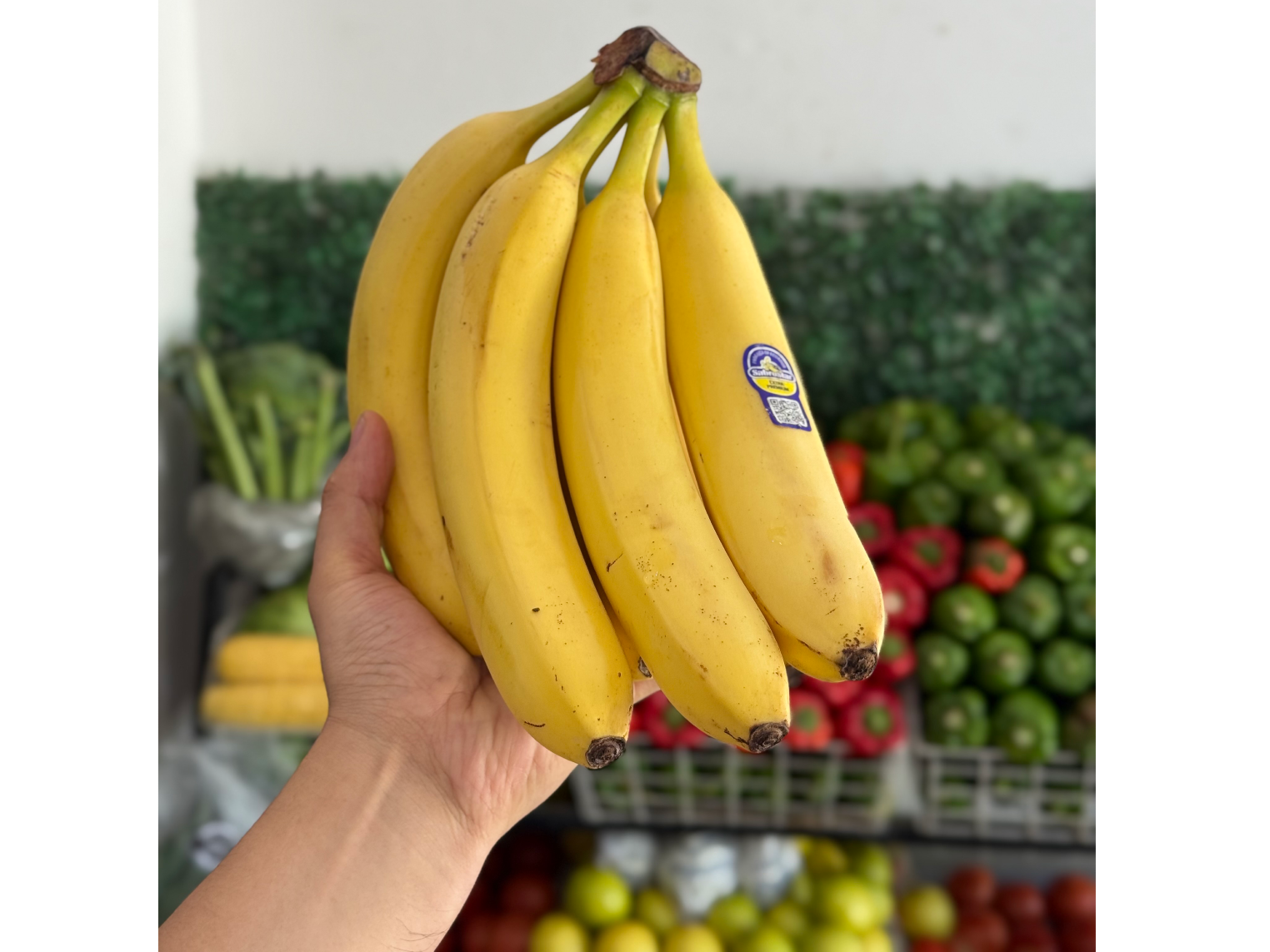 Banana Ecuador