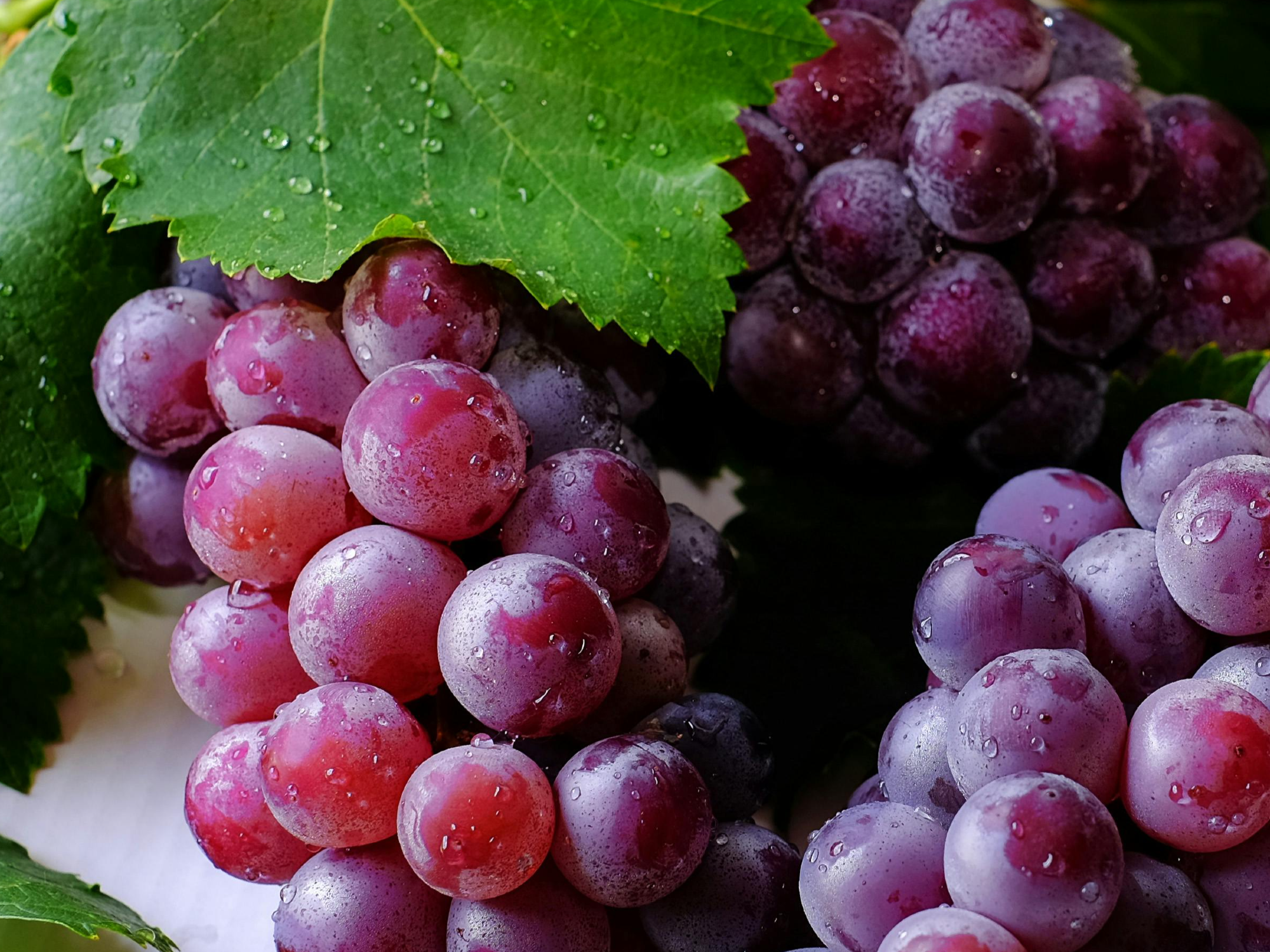 PASAS SIN SEMILLA X 1 KG