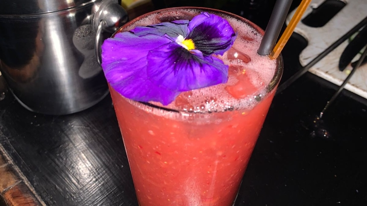 TRAGOS