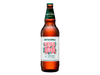 PATAGONIA VERAIPA