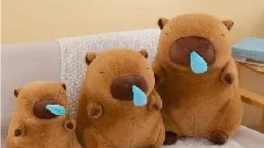 Peluches Especiales  y CAPYBARAS