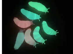 GUSANOS FLUORECENTES QUE SE ILUMINAN EN LA OSCURIDAD