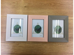 F8253-13*18 PORTARRETRATOS COLORES SURTIDOS TAMAÑO 13x18 cm