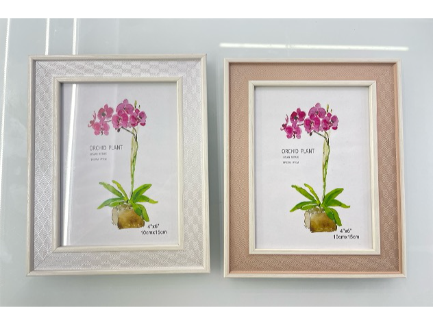 YY8257-2/A4 PORTARRETRATOS COLORES SURTIDOS TAMAÑO A4 (20x30 cm)