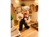 CERAMICA DECORATIVA (Código: WS-12)