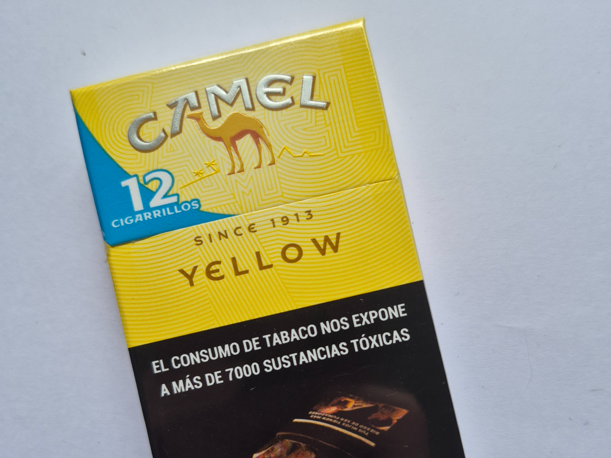 Camel x11
