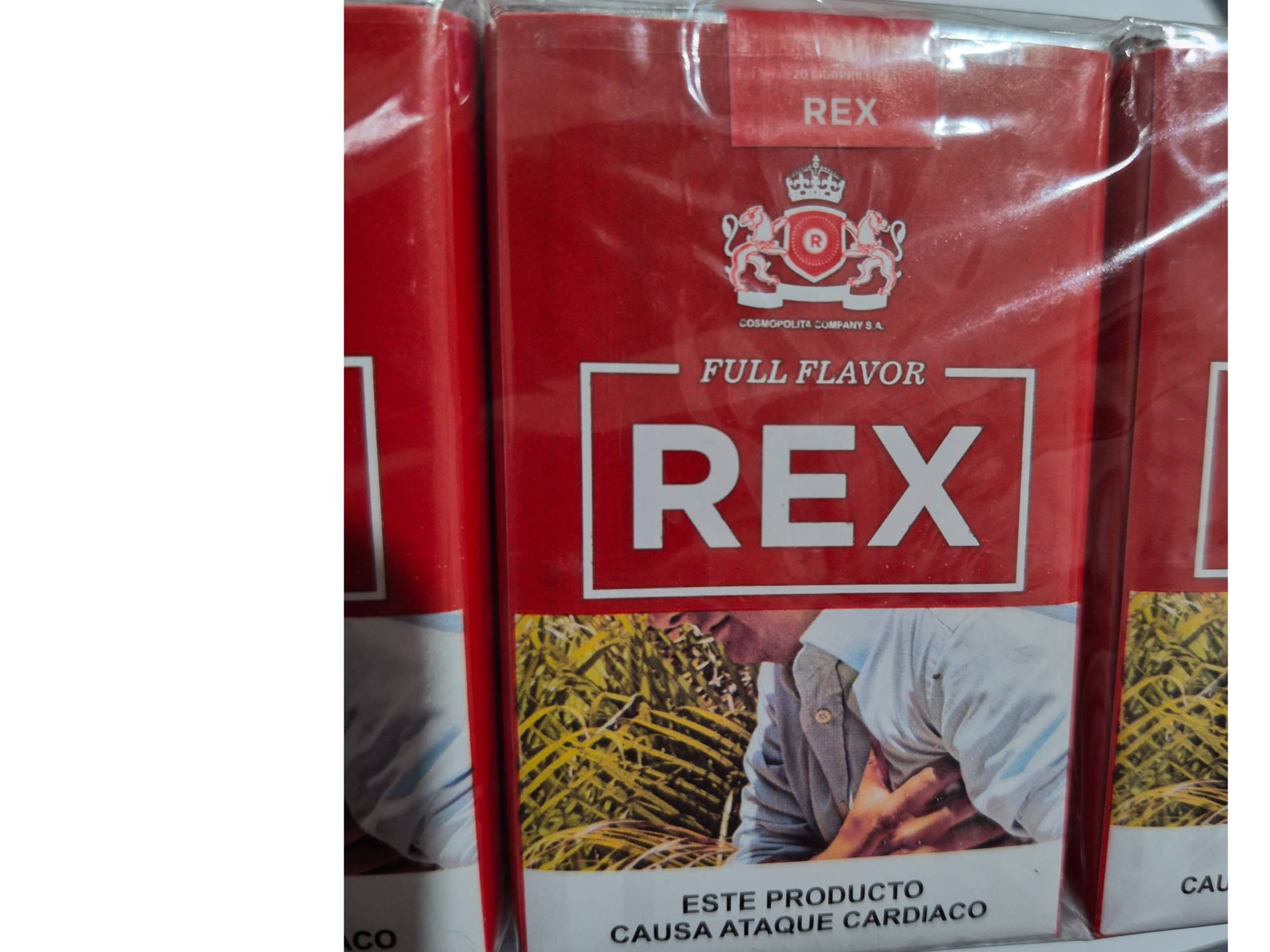 Rex común KS