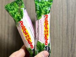 MALVAVISCOS PALITOS DE LA SELVA