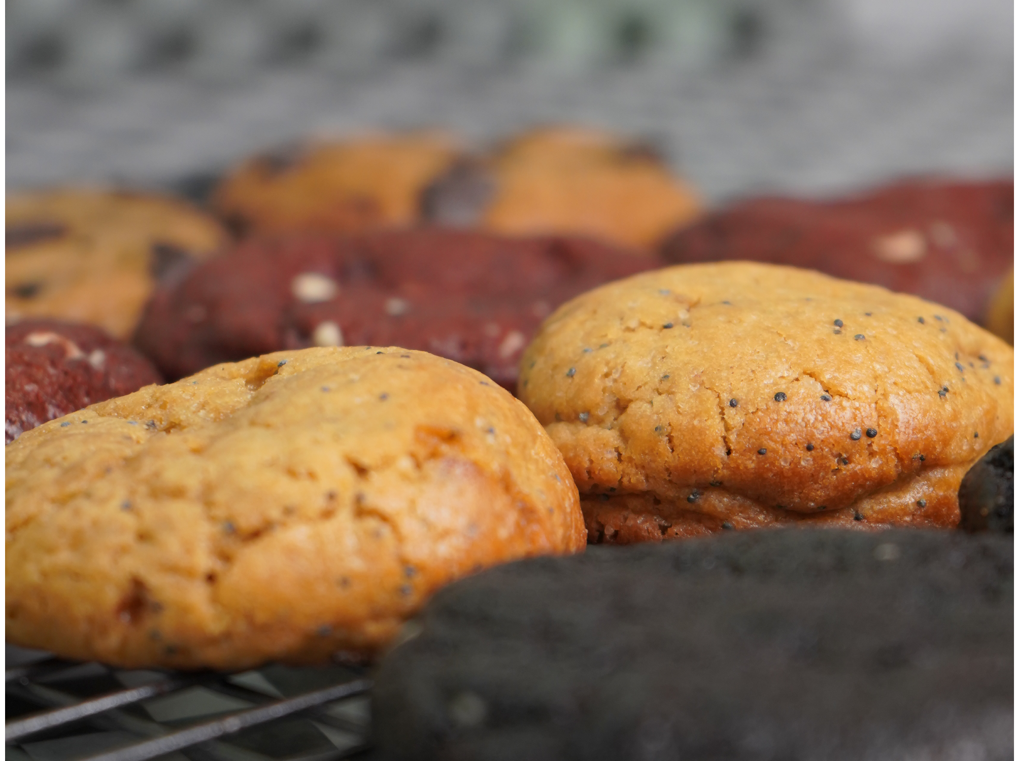 Clásica Limón y Amapolas