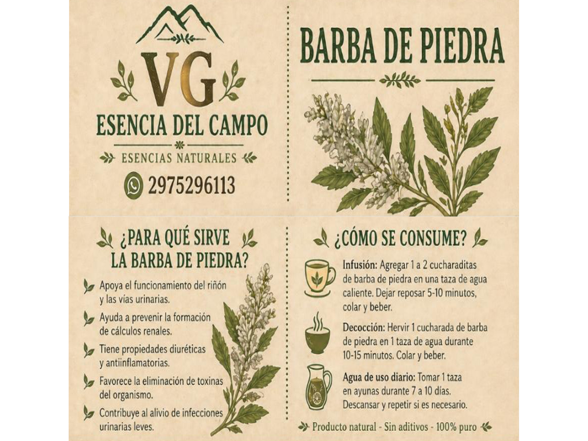 BARBA DE PIEDRA