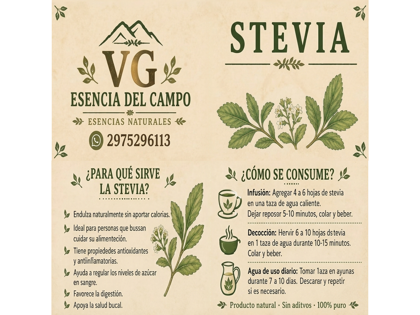 STEVIA