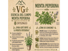 MENTA PEPERINA