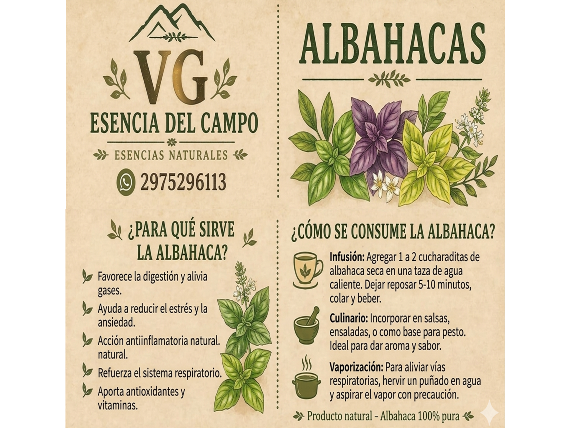 ALBAHACA