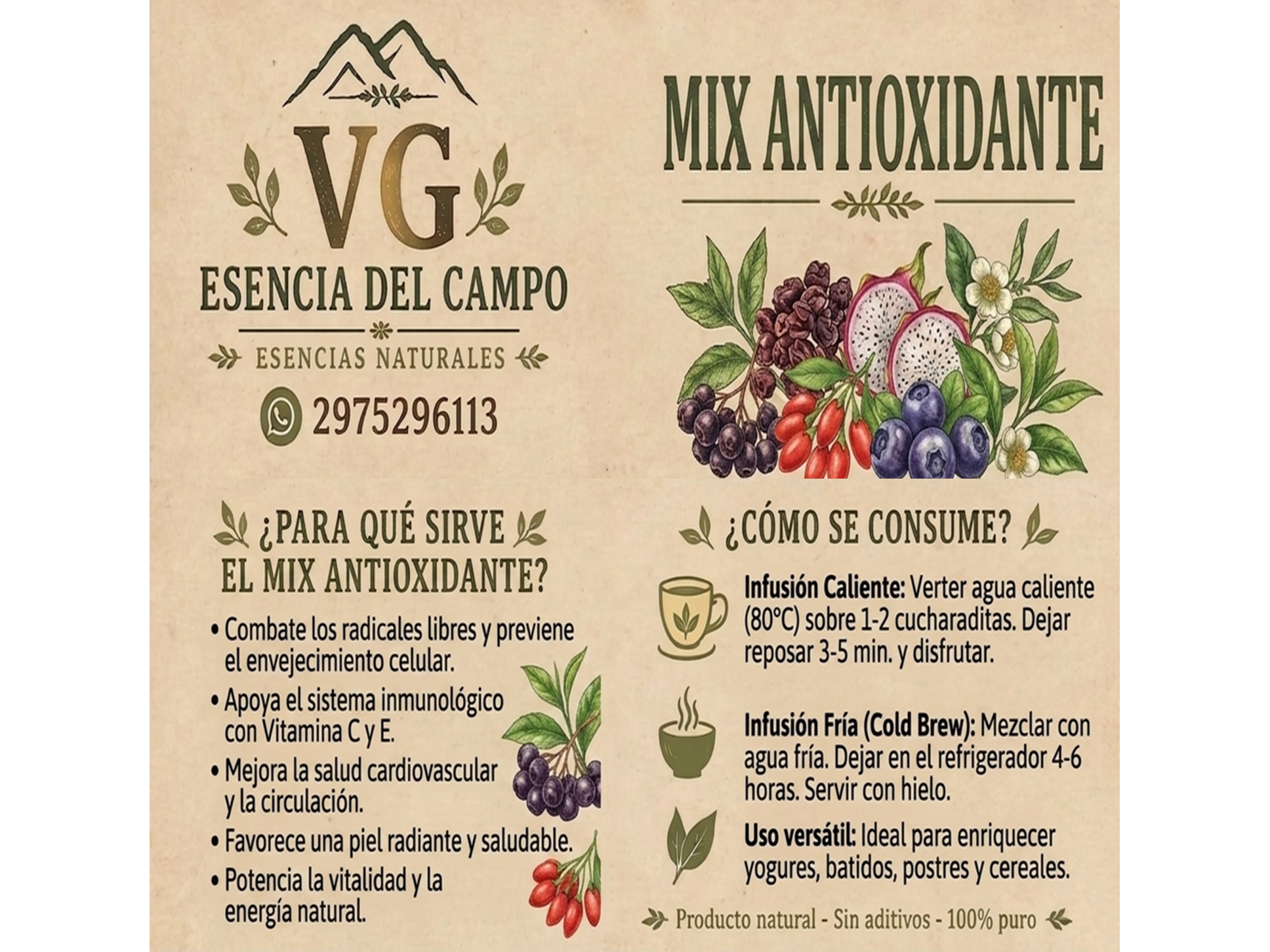MIX ANTIOXIDANTE