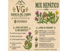 MIX HEPATICO