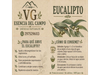EUCALIPTUS