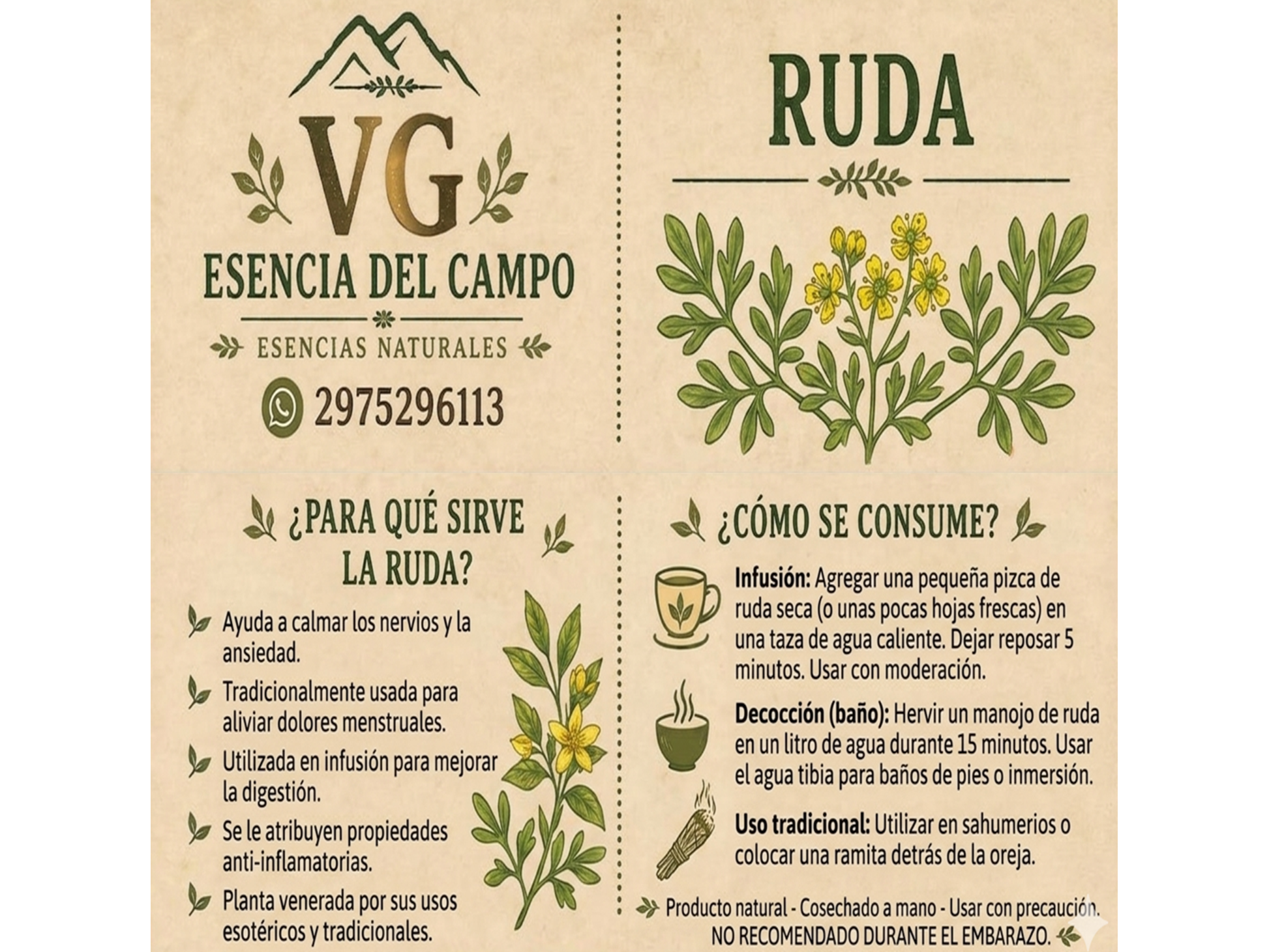 RUDA
