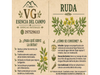 RUDA