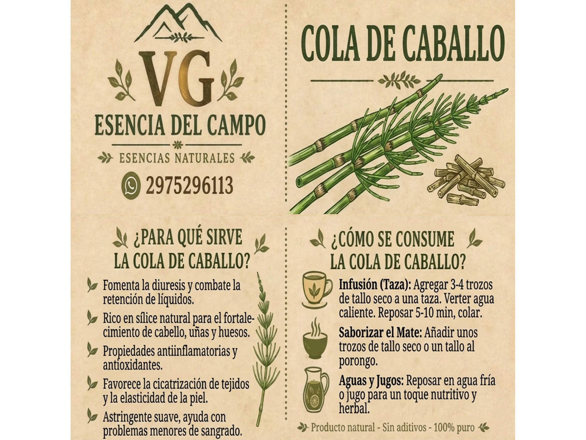 COLA DE CABALLO