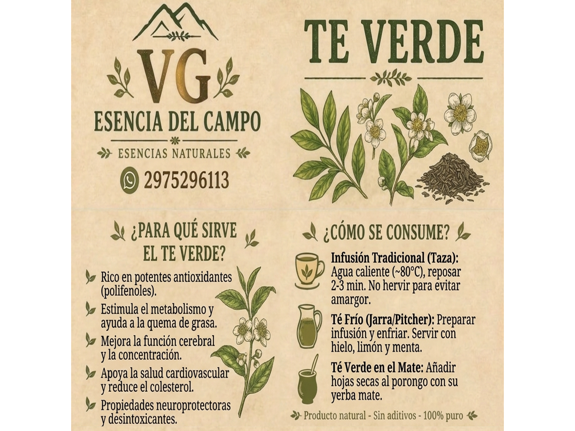 TE VERDE