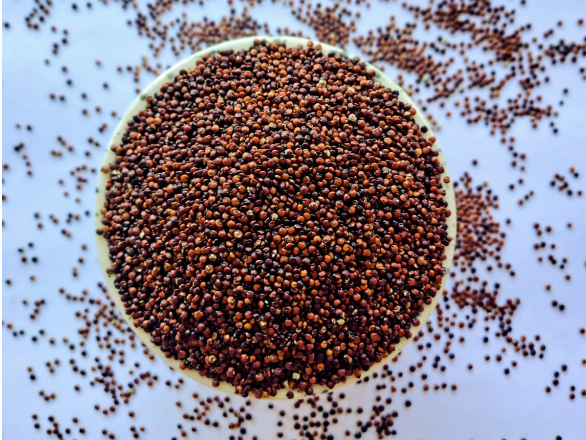 QUINOA PERU ROJA