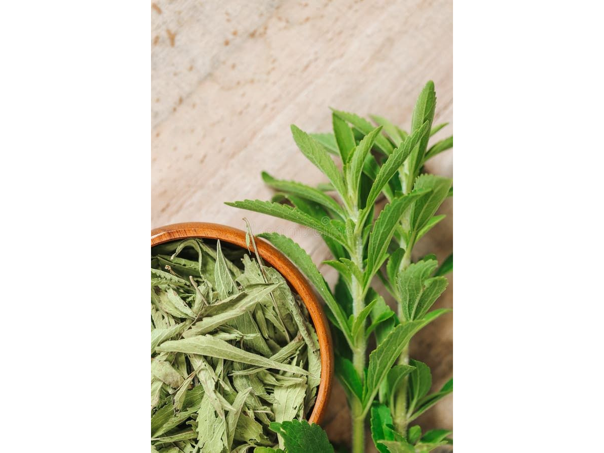 STEVIA