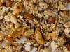 GRANOLA PROTEICA
