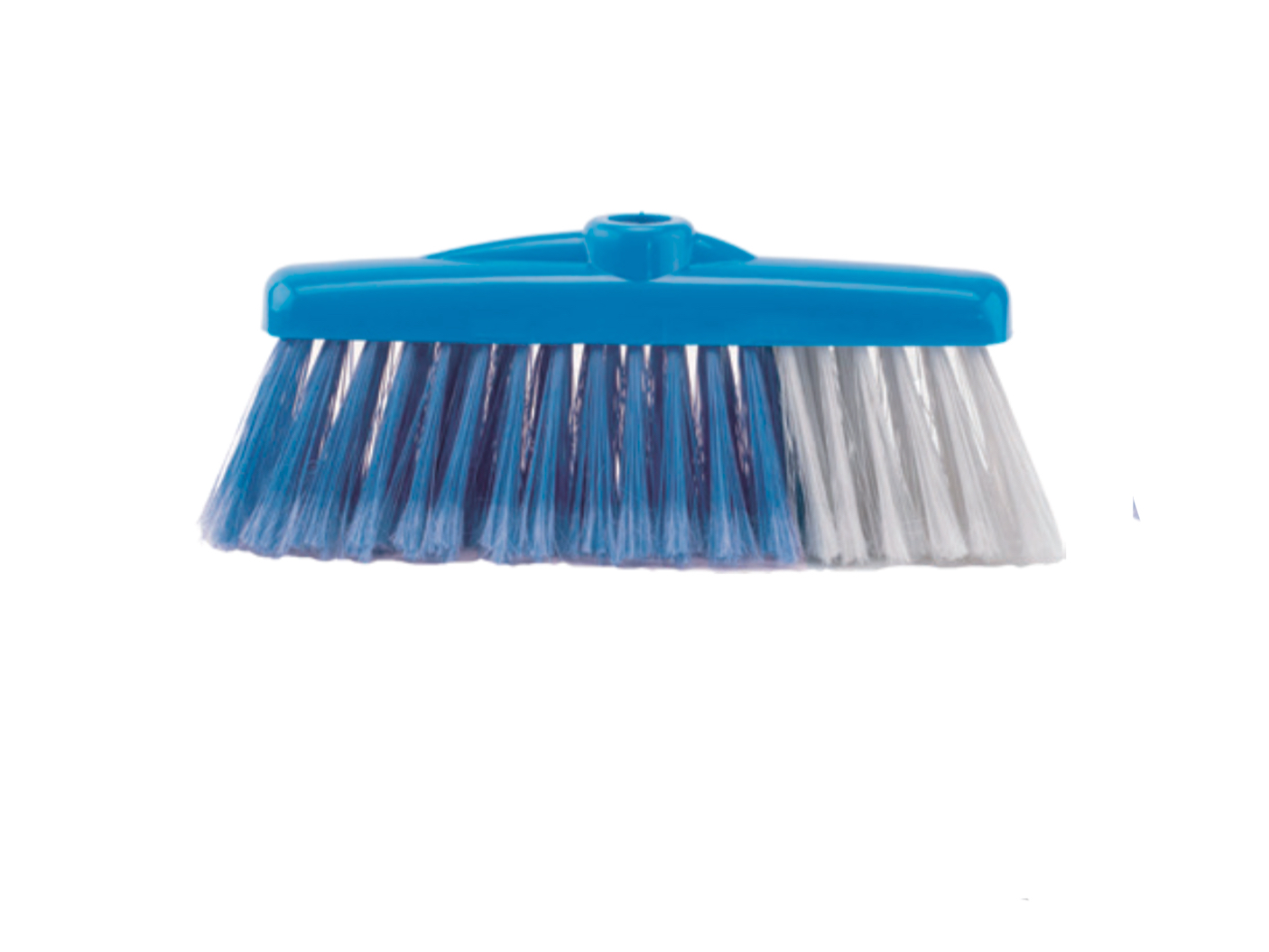 Escobillón valencia