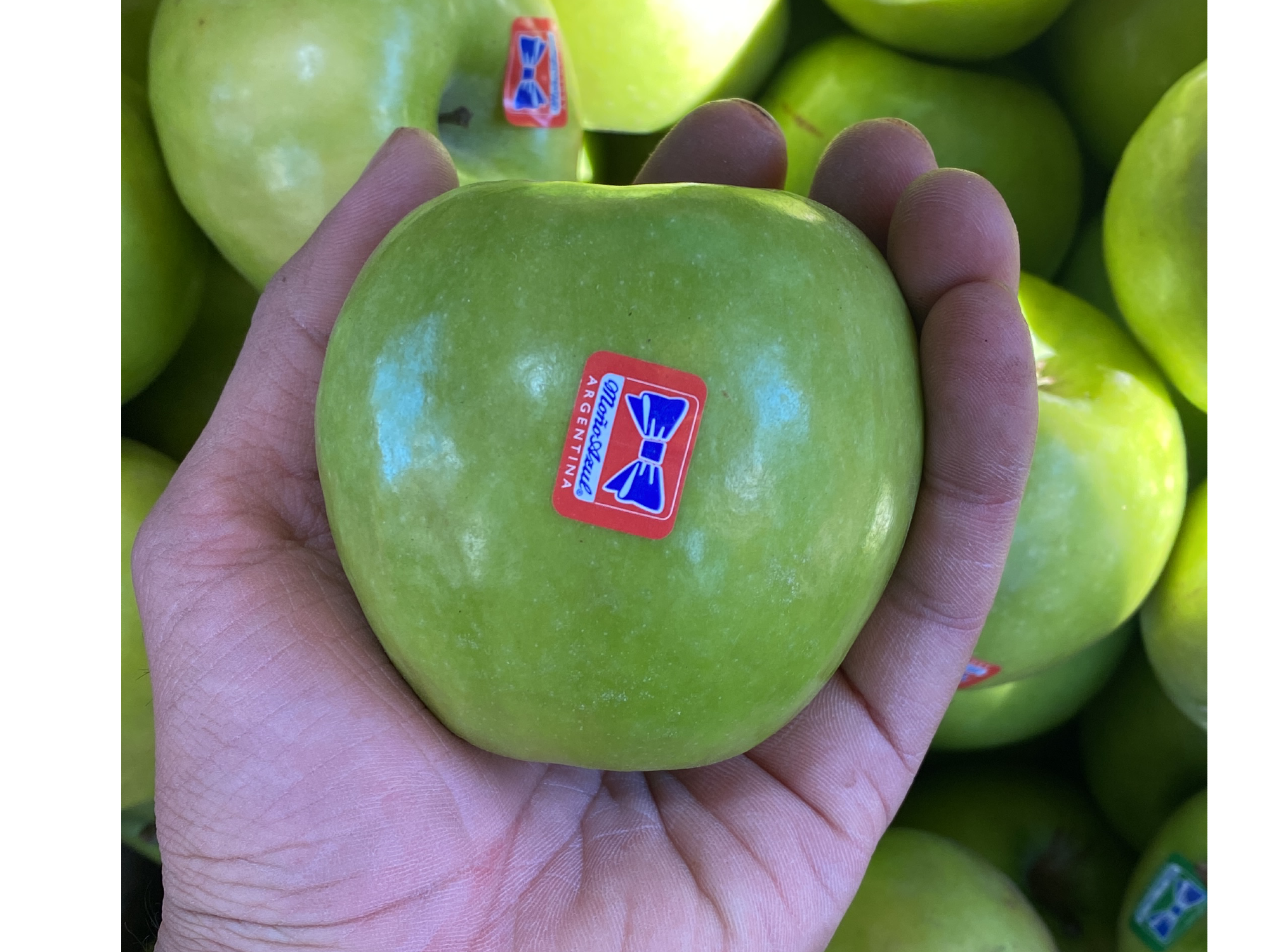 MANZANA VERDE MOÑO AZUL