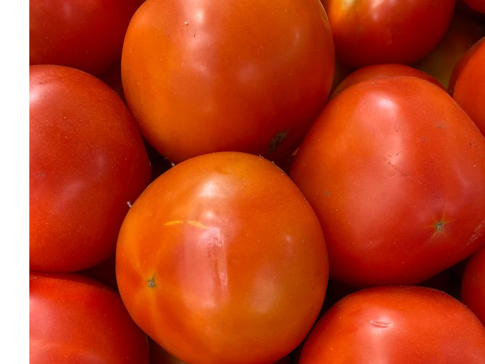 TOMATE REDONDO