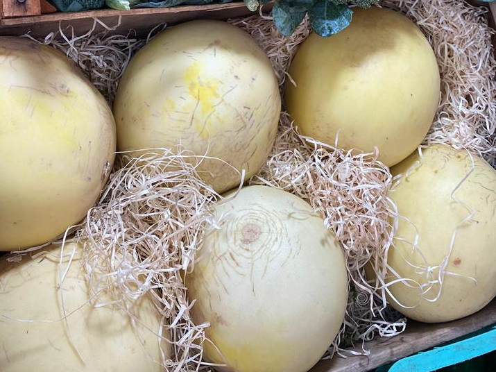 MELON ROCIO DE MIEL GRANDE