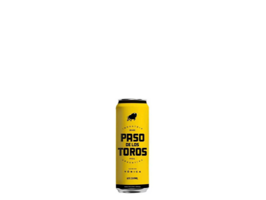 PASO DE LOS TOROS LATA 269 CC