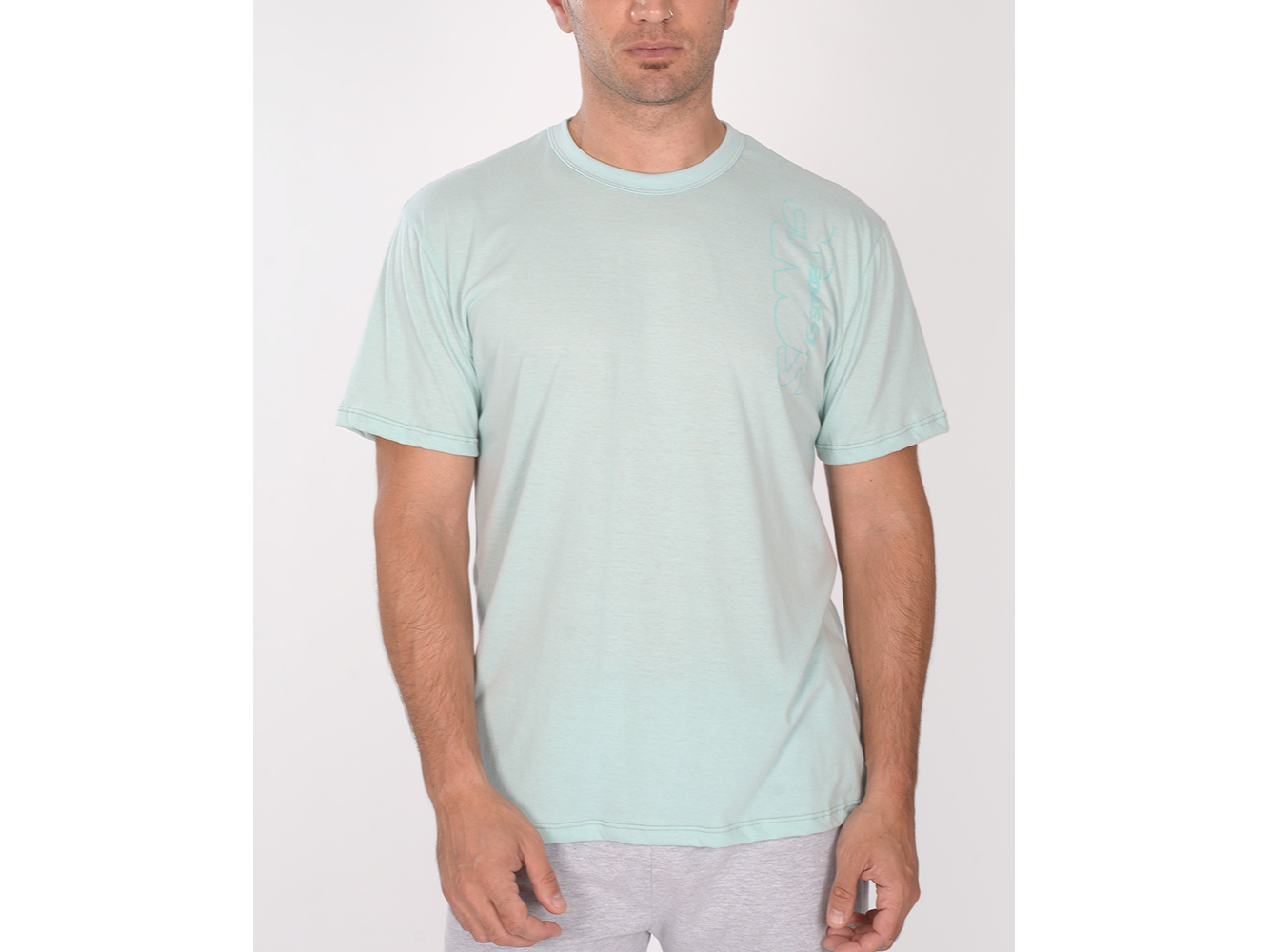 REMERA JERSEY LIVIANO
