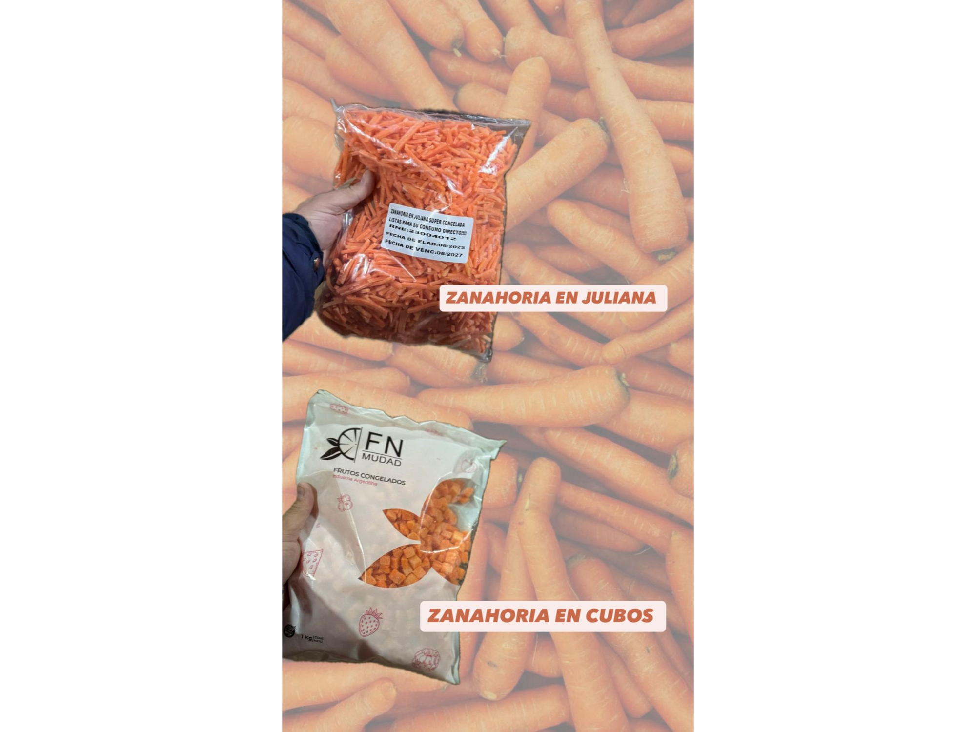 bolsa de Zanahorias x 1 kg