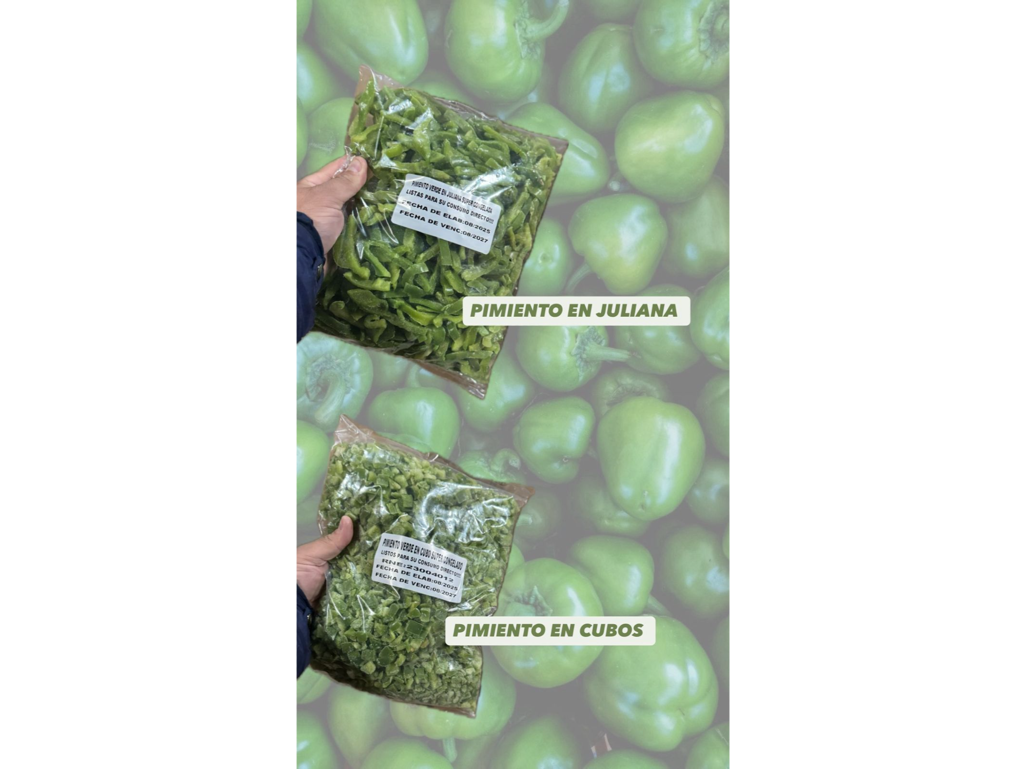 bolas de pimiento verde x 1kg de Pictofamila Avicola